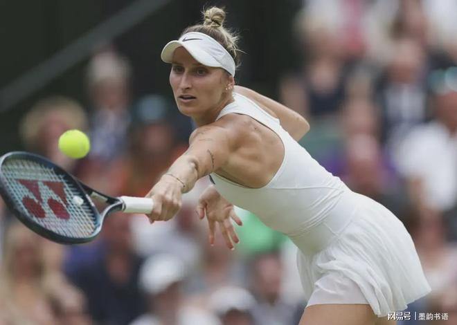 在瑞士的羽 在瑞士的羽